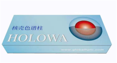 HOLOWA C18  案例二