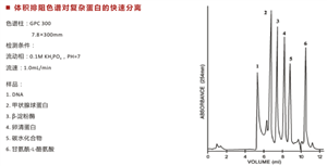 体积排阻色谱柱