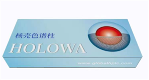 HOLOWA 宣传单页